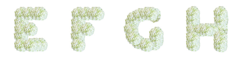 Wall Mural - Letters E, F, G, H made of White Guelder Rose