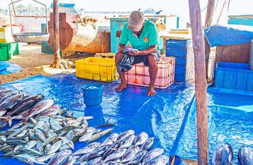 Poster - Vaiting the clients in Galle market, Sri Lanka