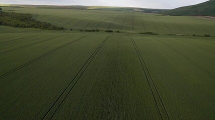 Wall Mural - Drone flight above beautiful countryside with green rolling fields at the background of blue sky with clouds