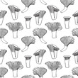 Seamless pattern. Vector illustration. Doodle drawing of mushrooms - chanterelles.