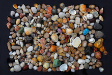 Multicolored Sea Pebbles And Seashells In Water As Background Or Wallpaper On Black. 