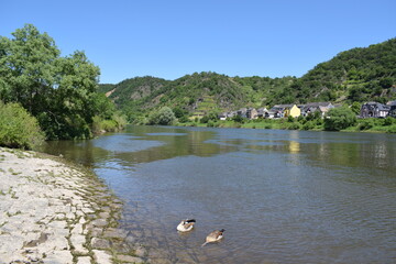 Canvas Print - Blick auf Dieblich, Mosel