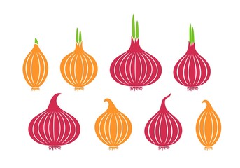 Onion logo. Isolated onion on white background