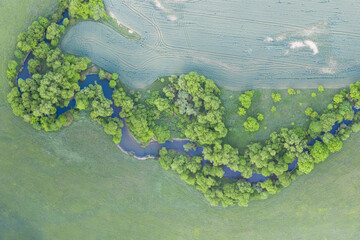 Aerial view of river meander in the lush green vegetation of the delta.
Beautiful landscape - wild river in USA.
National nature reserve in summer.