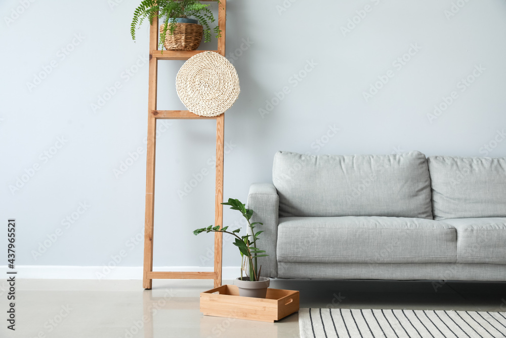 modern interior of living room with cozy sofa