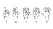 Counting from one to five on the fingers. Hand gestures for preschool learning to count. Numbers on the fingers. Line drawing. Vector flat isolated art fun. counting fingers