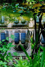 Shimmering Reflection From The Wildlife Garden Pond Of The Western Facade Of The Natural History Museum, London 