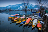 Fototapeta Natura - Beautiful view of the colorful Shikara boats floating on Dal Lake, Srinagar, Kashmir, India.