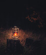 Still life with kerosene lamp