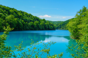  Beautiful view in the Plitvice Lakes National Park (Croatia)
