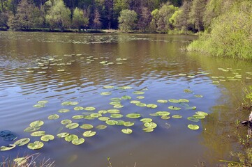 Canvas Print - Stedtfeld bei Eisenach