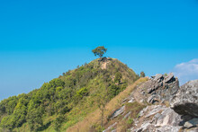 Doi Pha Tang Viewpoint, A Tourist Attraction In Thailand.