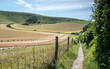 The Long Man of Wilmington and the South Downs, Sussex, England. A rural footpath running towards a distant hill figure in the English countryside.