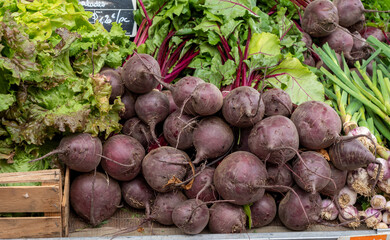 Wall Mural - beets in a french market , France