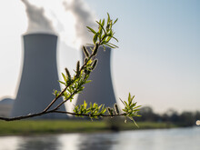 Branch With Green Leaves  Against Nuclear Power Plant.