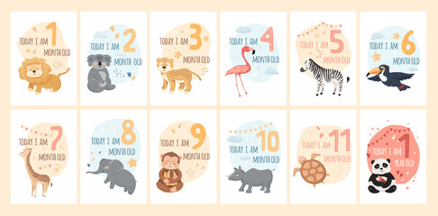 Baby milestone cards with cute animals and numbers. Kids month anniversary prints for newborn girl, boy. Jungle characters with graphic elements, stars, heart, clouds. Cartoon vector illustrations set