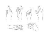 Fototapeta  - A collection of realistic female hands. Isolated vector gesture icons on white background. Set of elegant line hands for logos, cosmetics brands and nail salons. Editable strokes.