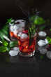 Berry alcoholic cocktail liqueur, vodka, ice and rosemary. Refreshing cool drink, berry liqueur or red alcoholic cocktail.