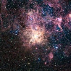 ngc2070. the tarantula nebula.