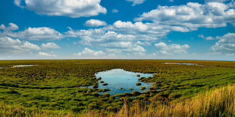 Sylt, Wattenmeer, deich, lahnung, Ufer, watt