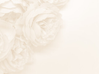 Wall Mural - Beautiful abstract color white flowers on white background, black leaves texture, gray background, colorful graphics banner, white leaves, leaves texture
