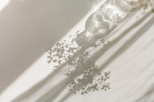 Shadows On A White Background From A Glass And Flowers. Dried Flowers In A Glass Vase In The Rays Of Light.