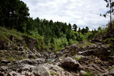 Fototapeta Natura - Mountain stream