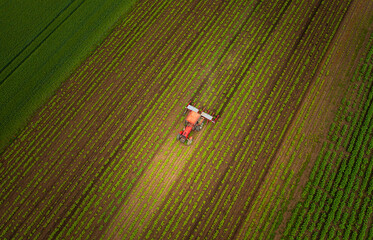 Fototapete - Red tractor in the field.