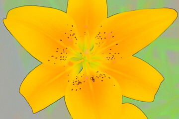 Sticker - Yellow Lily