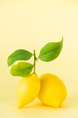 Wall Mural - Lemon isolated on pastel yellow background