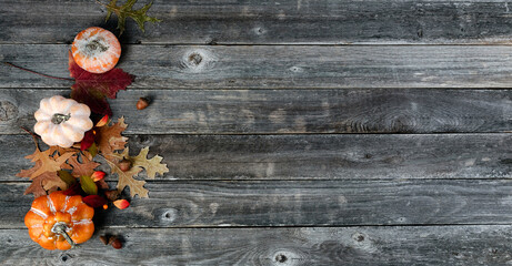 Canvas Print - Autumn or fall seasonal setting decoration background for either Thanksgiving or Halloween holiday on vintage wood