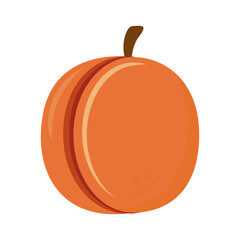 Sticker - orange citrus fruit