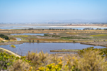 Sticker - Marsh landscape, Coyote Hills Regional Park