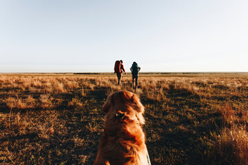 Couple hiking together in the wilderness