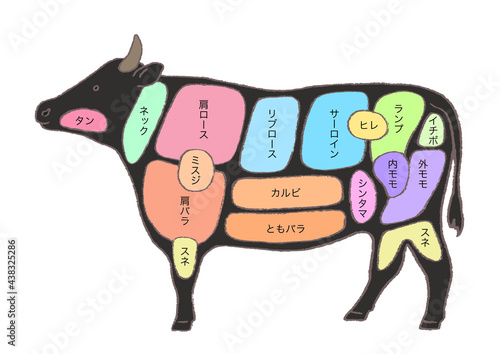 牛肉の部位説明 手描きのイラスト Animal Husbandry Poster Animal Husband モリモリ