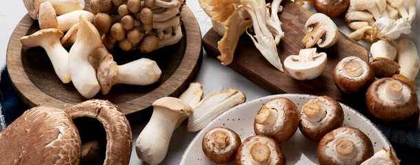 Wall Mural - Variety of raw mushrooms on light gray background.