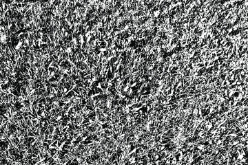 Leinwandbilder - Grunge surface texture with cracks, grains of sand, blades of grass and grain. Abstract background. Vector illustration. Overlay Template.