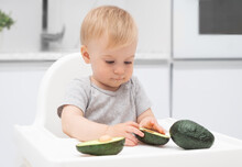 Adorable Funny Caucasian Blonde Baby Girl Eating Green Avocado At Highchair In Kitchen. Kid Supplementary Healthy Food. Fresh Vegetables For Child