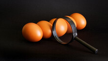 Five Brown Eggs And A Magnifying Glass On A Dark Background. Concept For Laboratory Analysis And Sorting Of Eggs, Quality Monitoring And Selection For Sale