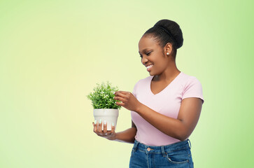 Poster - environment, nature and people concept - happy smiling african american woman holding flower in pot over green background