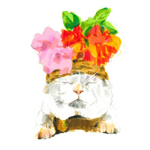 Cat Watercolor Illustration