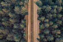 Rail Rails On Sleepers In The Middle Of A Green Forest In The Evening In Clear Weather. Background On The Theme Of Rail Travel By Train. Aerial Overhead Drone Shot.