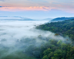 Wall Mural - landscape with forest covered by morning fog at sunrise