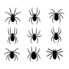 silhouette of a spider hanging from a web Abandoned House Horror Ideas for Halloween