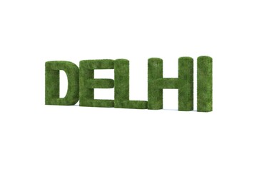 Wall Mural - 3d rendering of green grass DELHI word isolated on white background