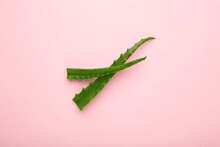 Flat Lay Composition With Fresh Aloe Vera Leaves And Space For Text On Pink Background