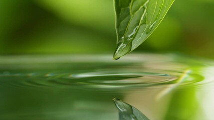 Aufkleber - Crystal clear water rolls over green leaf and falls into water forming ripples. Wet green fresh leaf over pond. Nature after rain. Macro shot