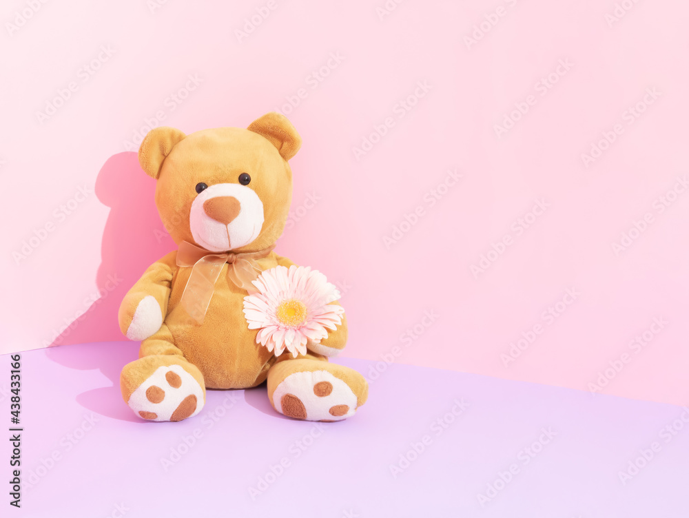 Stock Foto A newborn baby girl concept. Cute teddy bear sitting and hold beautiful blooming pink gerbera flower. Pastel purple and pastel pink background. Adobe Stock