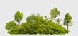forest scape picture with cut out from original background with selection or clipping path, one click selection, hight resolution forestcape picture fast and easy for use