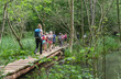 enfant detente excursion scolaire bois passerelle ruisseau nature Belgique Wallonie Lauzelle environnement
